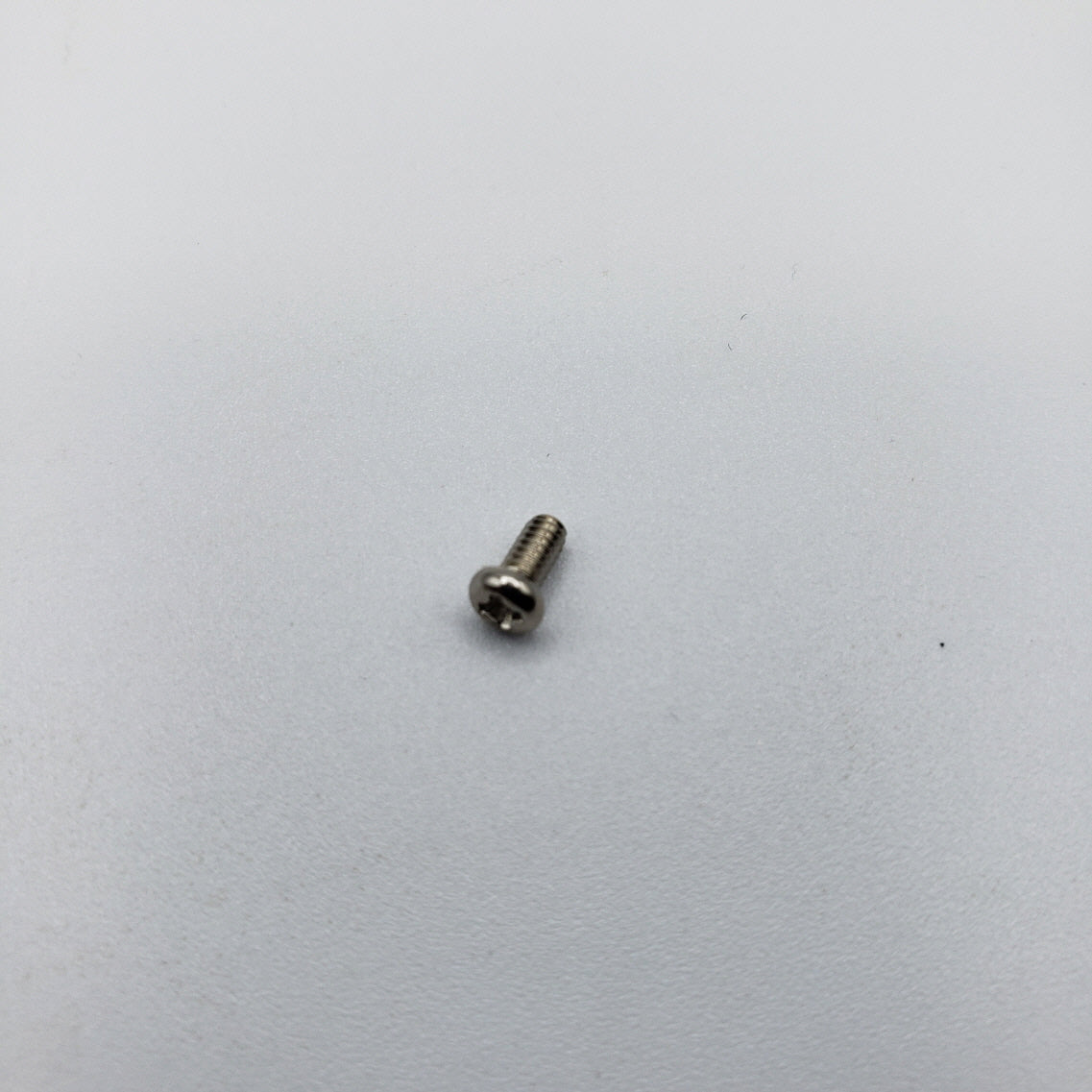 SWF_SCREW (M2xL4)