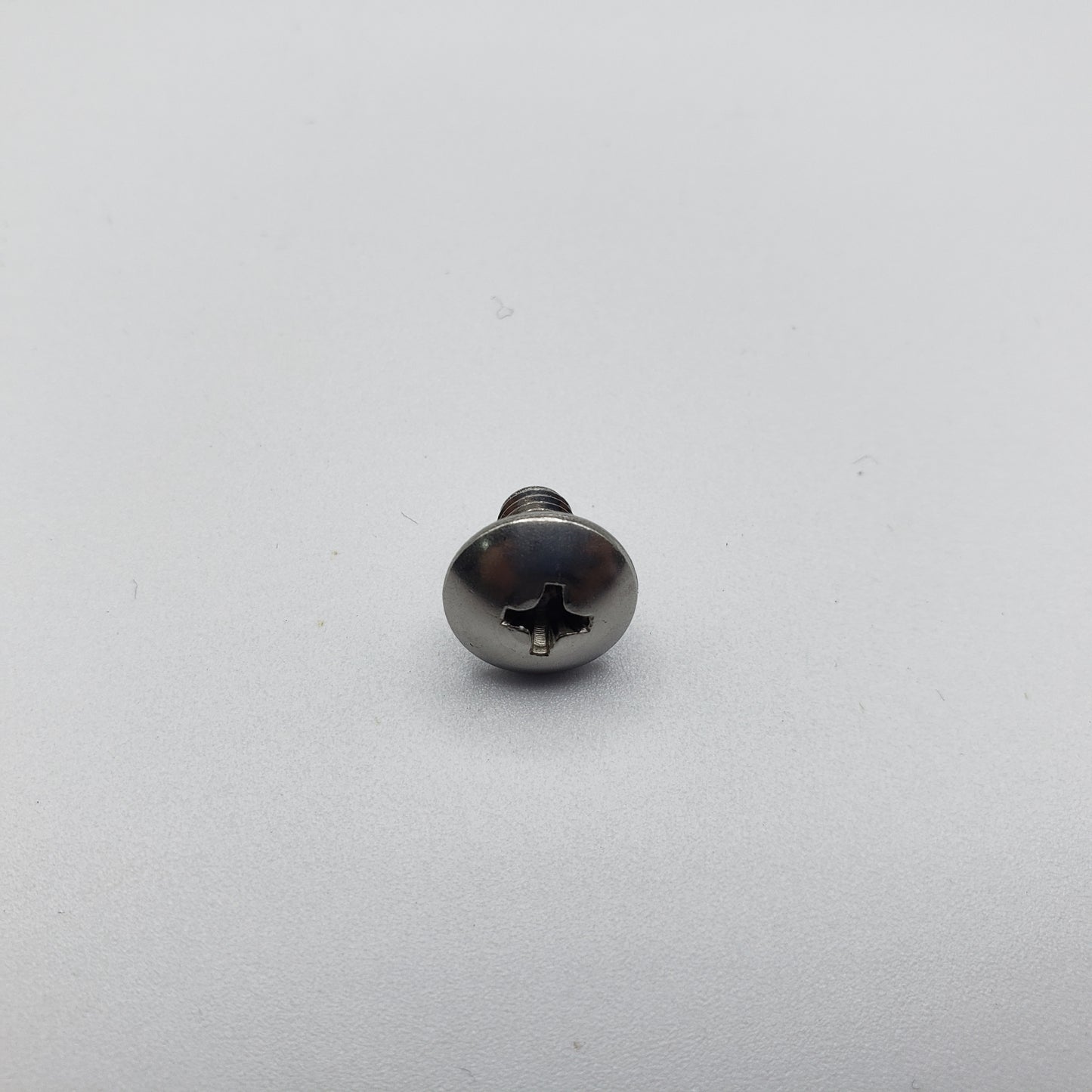 SWF_TRUSS SCREW (M5*L8)