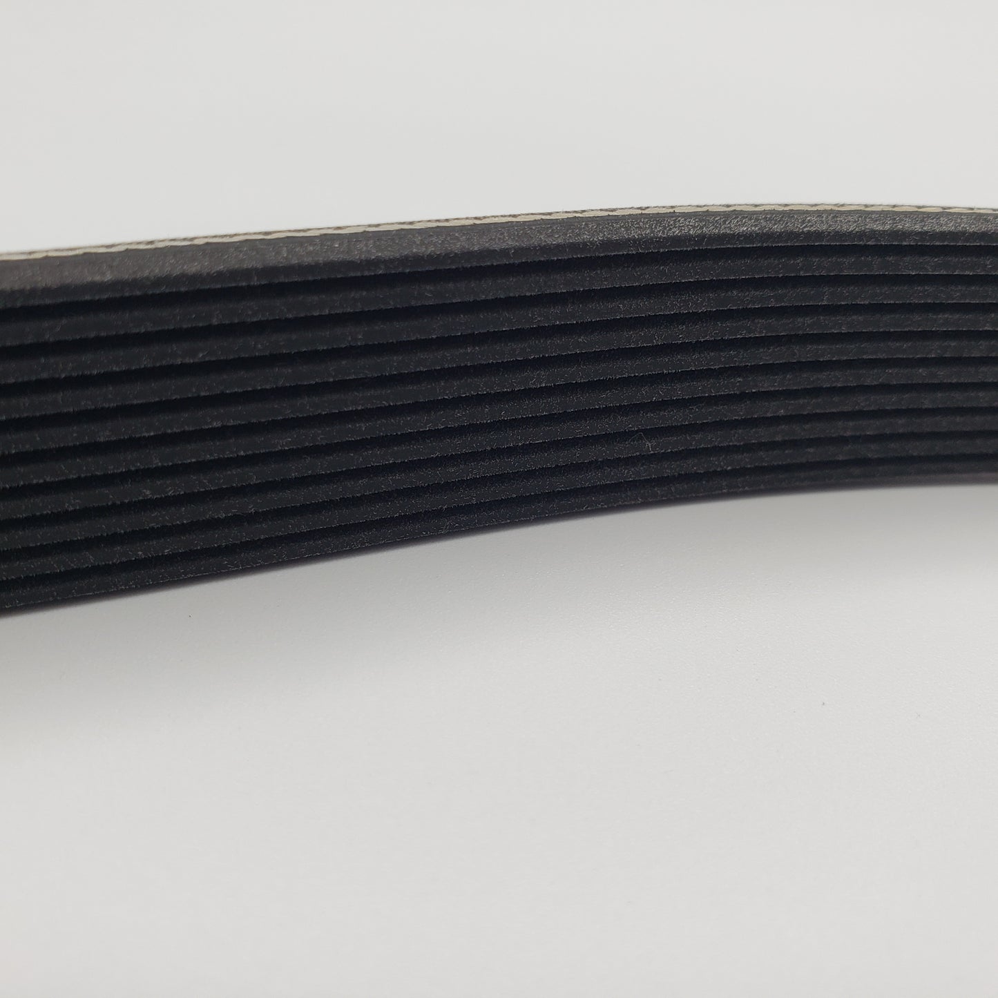 MAIN DRIVING BELT [RIBSTAR 290JX10R]